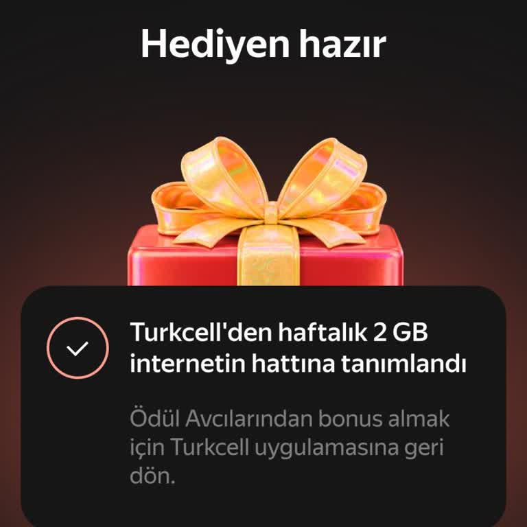 Yandex AI Kampanyasındaki 2 GB İnternet Paketi Hattıma Eklenmedi