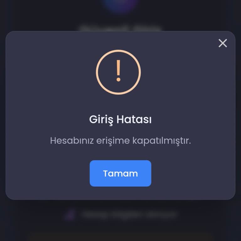 Hesabım Yanlış Anlama Nedeniyle Kapatıldı, Yeniden Aktif Edilmesi İsteniyor