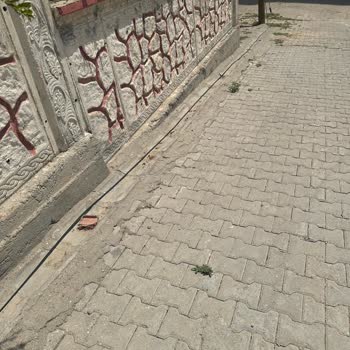 İnternet Kesintileri Ve Altyapı Sorunları İçin Acil Çözüm Talebi