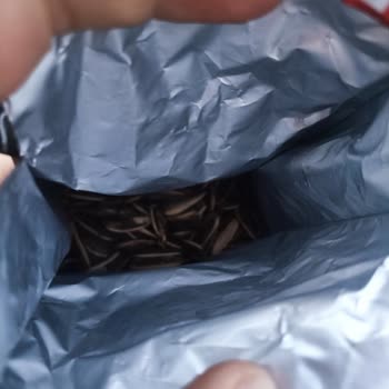 Tuzlu Etiketi Yanıltıcı Çekirdek Tuzsuz Çıktı