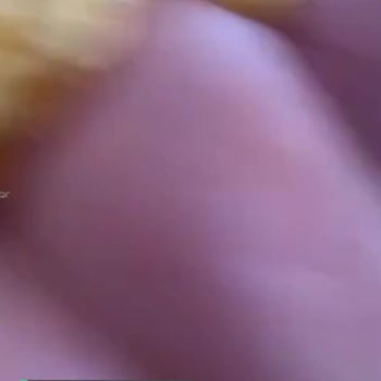 Cheetos İçinden Böcek Cıktı