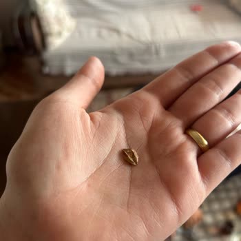 Koska Helvanın İçinden Taş Parçası Çıktı