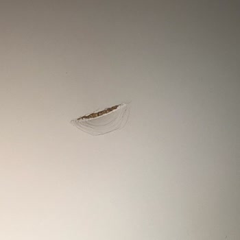 Masada Kısa Sürede Yüzey Hasarı Ve Garanti Kapsamında Değişim Talebi