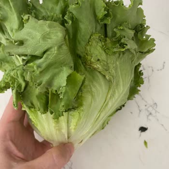 Sebze Meyve Kalitesindeki Bozulma Ve Güven Kaybı