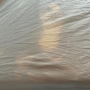 Garanti Kapsamındaki Vestel Çamaşır Makinesinde Sürekli Lekeler Ve Su Sızıntısı