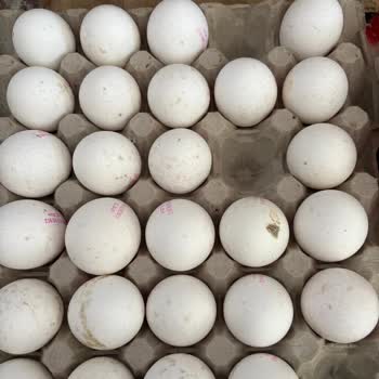 A101'den Fişsiz Bozuk Yumurta İadesi Reddi Ve Güven Sorunu