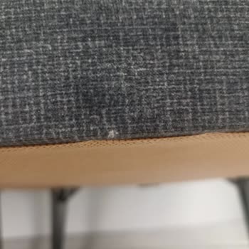 Berjer Boyut Farklılığı Ve Değişim Sürecinin Uzaması