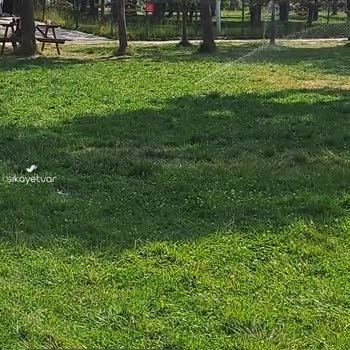 Erzurum Olimpiyat Parkı Fıskiye Sorunu!