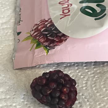 Yayla Böğürtlen Ürününde Kurt Görülmesi Ve Çocuk Güvenliği Endişesi