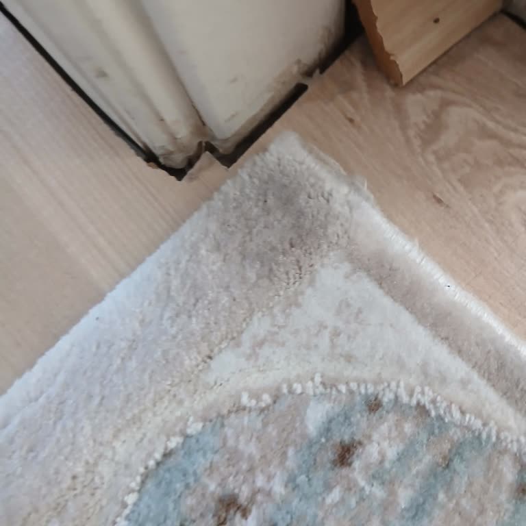 Roborock Süpürge Halılarda Lekeler Bırakıyor Ve Garantili Destek Alınamıyor