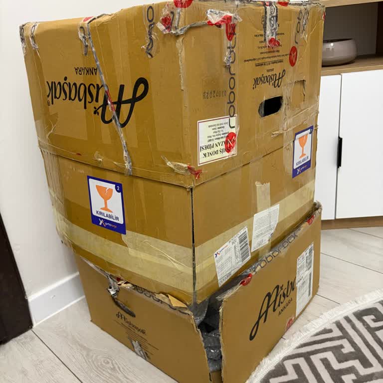 Roborock Servisinde Yaşanan Arıza ve Şikayet