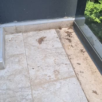 Del Mare Park Depozitom Hesabıma İade Edilmedi