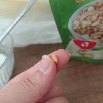 Granola Ürününde Fıstık Kabuğu Bulunması Sağlık Riskine Yol Açtı