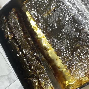 Balkovanım’dan Yanıltıcı Bal Satışı Ve İade Reddi