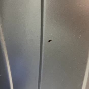 Buzdolabım Parça Beklerken Haftalarca Mağduriyet, Çamaşır Makinesinde Ses Ve Deformasyon Sorunu