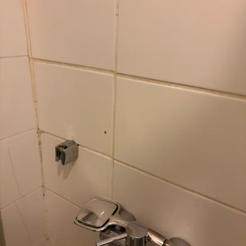 Bodrum Otelinde Küf Kokulu Oda Ve Hiç Telafi Sunulmayan Hizmet