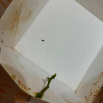 McDonald's Nilüfer Balkan Şubesinde Küflü Hamburger Ve Gıda Güvenliği İhlali