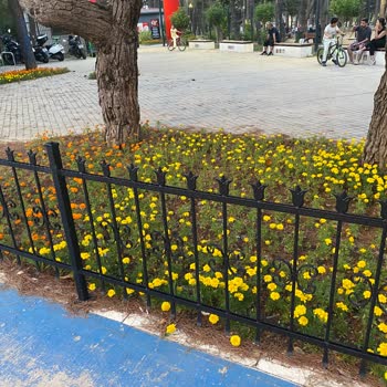 Millet Bahçesi’nde Tehlikeli Demir Korkuluklar Çocuğumun Bel Ve Omuzunu 30 Dikişle Yaraladı