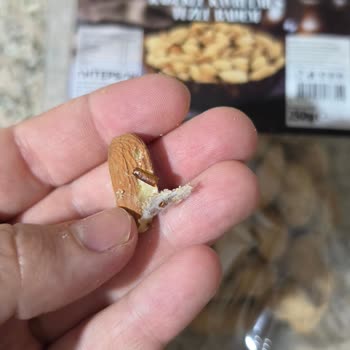 A101 Şubesinden Satın Alınan Bademde Böcek Görüldü Hijyen Ve Sağlık Endişesi