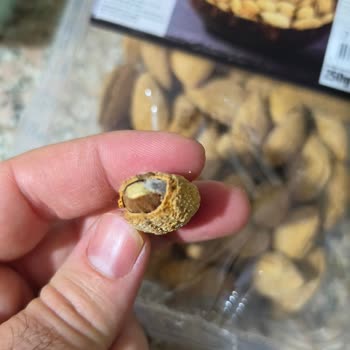 A101 Şubesinden Satın Alınan Bademde Böcek Görüldü Hijyen Ve Sağlık Endişesi