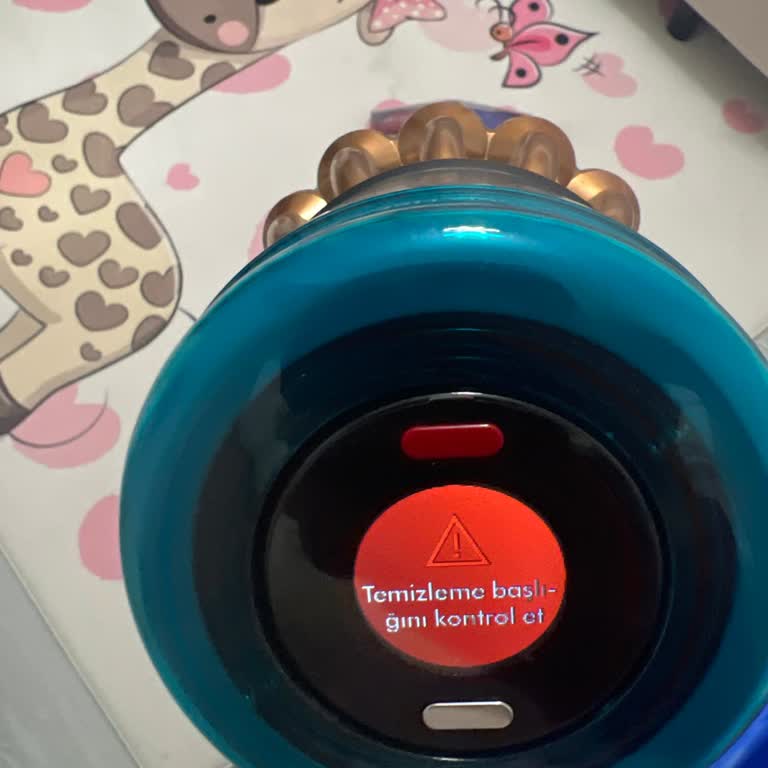Dyson V16 Süpürge Başlık Hatası Ve Müşteri Hizmetlerinin Duyarsız Tutumu