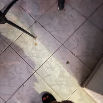 Jolly Tur'dan Yanıltıcı Bilgi Ve Otelde Hijyen Sorunu
