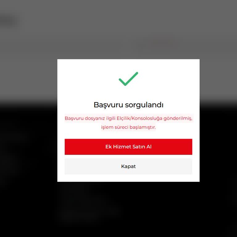 Aile Ziyareti Vizesi Gecikmesi Ve Acil Sonuçlandırma İsteği