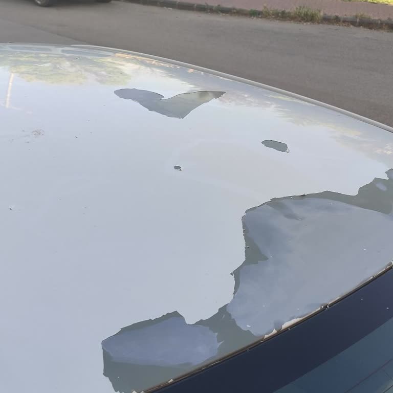 Toyota Corolla Tavan Boyası Soyulması İçin Garanti Kapsamı Talebi