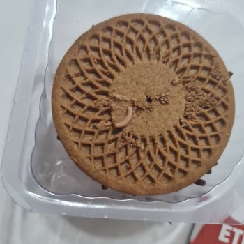 Eti Puf Kakao Granül Kaplamasında Kurt Görülmesi Hijyen Sorunu