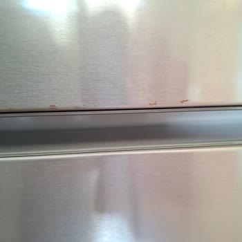 Profilo Buzdolabında Kapak Paslanması Ve Çatlaması İçin Tam Değişim Talebi