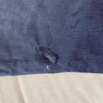 Pantalón Lee Cooper Jeff Con Mancha Permanente, Solicito Reembolso