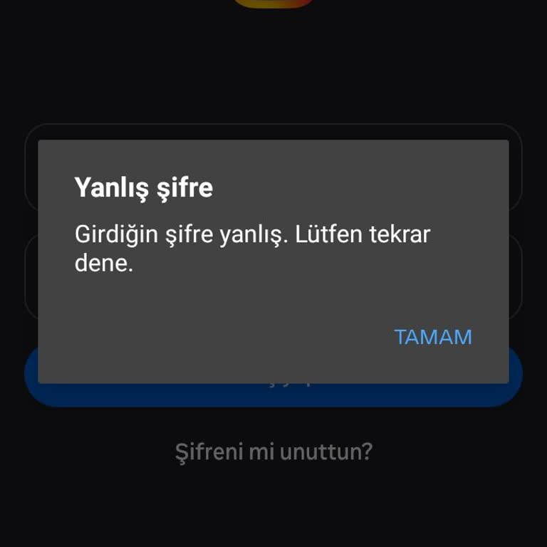 Instagram Giriş Sorunu Şifre Sıfırlama Kodları Gelmiyor