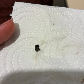 Kahve Dünyası Çikolatasında Taş Parçası Bulunması Sağlık Riski Yaratıyor