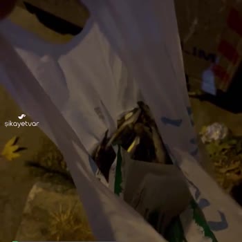 Balık Dünyası Sardalyesi Çok Kötü Kokuyordu, Çöpe Attım, 3 Paket Çöpe