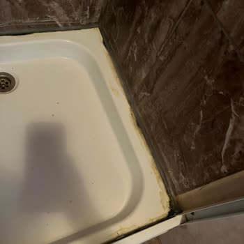 Temiz Ve Bakımlı Otel Talebi: Jolly Tur’un Çözüm Sunmaması