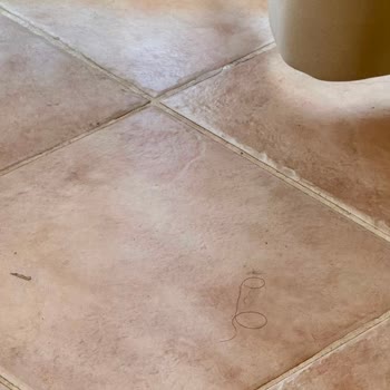 Jolly Tur Tatilinde Oda Hijyeni Ve Güvenliği Sorunlu, İade Talebim Reddedildi