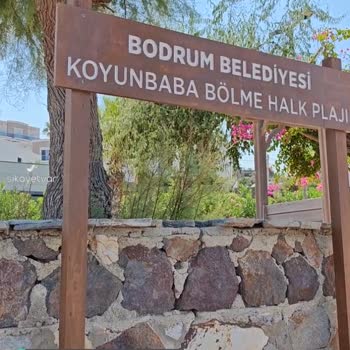 Bodrum Belediyesi Koyunbaba Bölme Halk Plajı Deniz Kirlenmesi