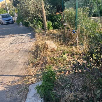 Ev Önündeki Kırık Kaldırımlar Hemen Onarılmalı