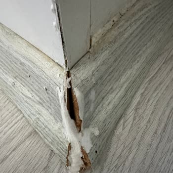 Garanti Kapsamındaki Vestel Termosifonun Tekrarlayan Arızası Ve Servis Gecikmesi