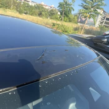 Sunroof Üstü Boya Soyulması Ve Servisin Sorumluluk Reddi