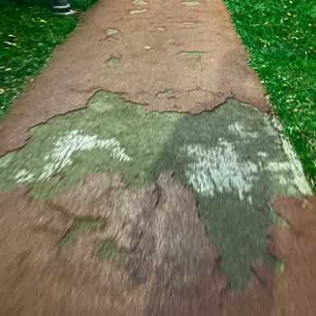 Yürüyüş ve Koşu Parkuru Onarımı ve Sulama Saatleri Düzenlemesi