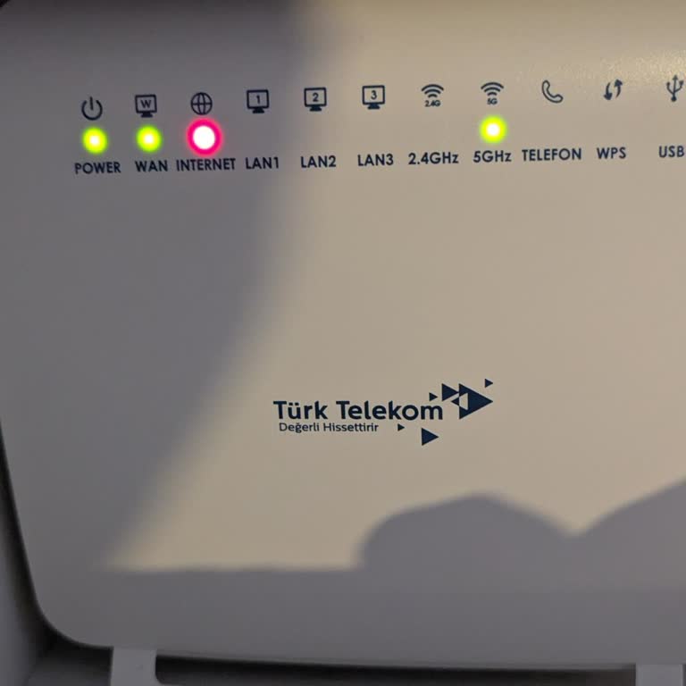 İnternet Kesintisi Ve Destek Erişim Sorunu