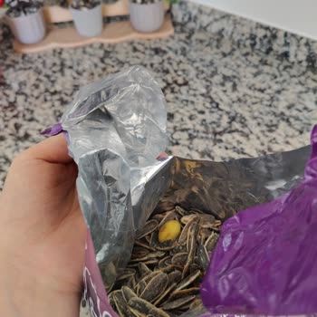 Amigo Ay Çekirdeğinde Yabancı Madde Keşfi