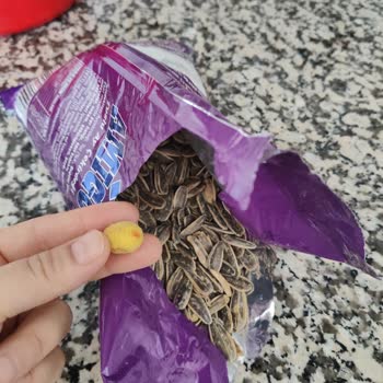 Amigo Ay Çekirdeğinde Yabancı Madde Keşfi