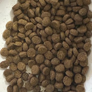Ambalajsız Kedi Maması İade Reddi Ve Ürün Kalitesindeki Değişiklik Mağduriyeti