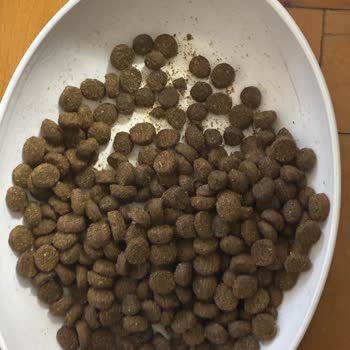 Ambalajsız Kedi Maması İade Reddi Ve Ürün Kalitesindeki Değişiklik Mağduriyeti