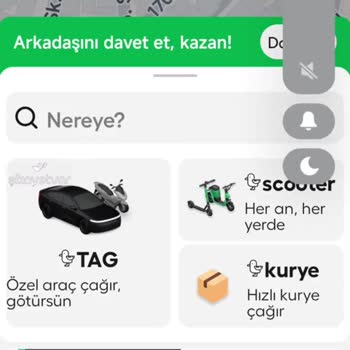 Martı Tag Sitesine Giremiyorum!