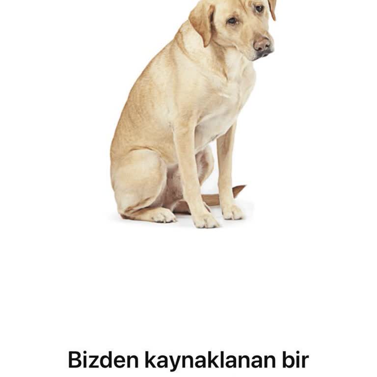Amazon Uygulamasında Ödeme Hatası İndirimli Ürünü Kaçırttı
