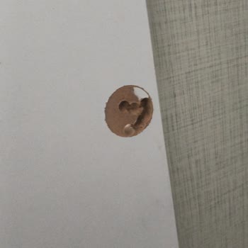 Nikah Öncesi Hasarlı Dolap Kapağı Ve Yetersiz Müşteri Desteği