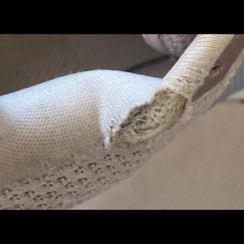 Nike Ayakkabısının Kısa Sürede Yırtılması Ve Red Kararına İtiraz
